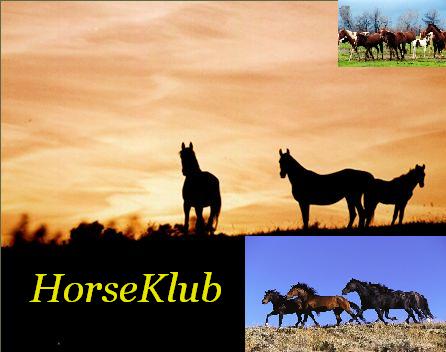 *Horse Klub* Te s Lovad NEVELDJE